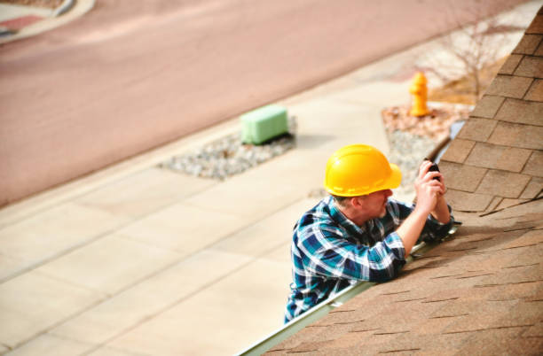 Best Roof Gutter Cleaning  in Lake Shastina, CA