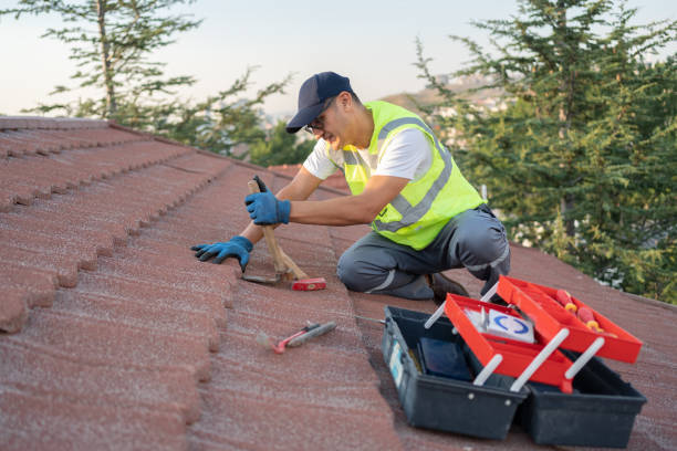 Best Metal Roofing Contractor  in Lake Shastina, CA
